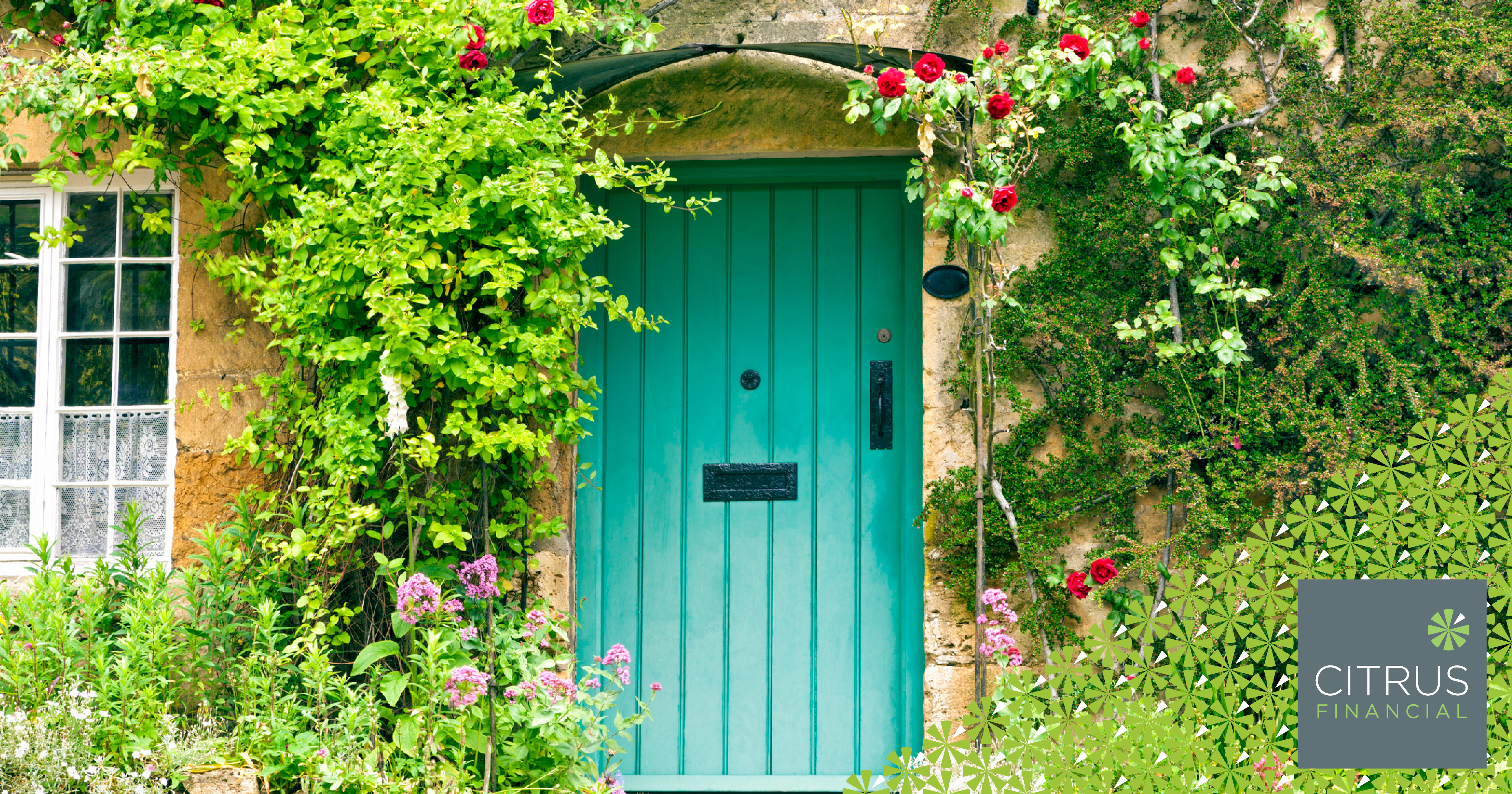A green front door for a country cottage surrounded by red roses
